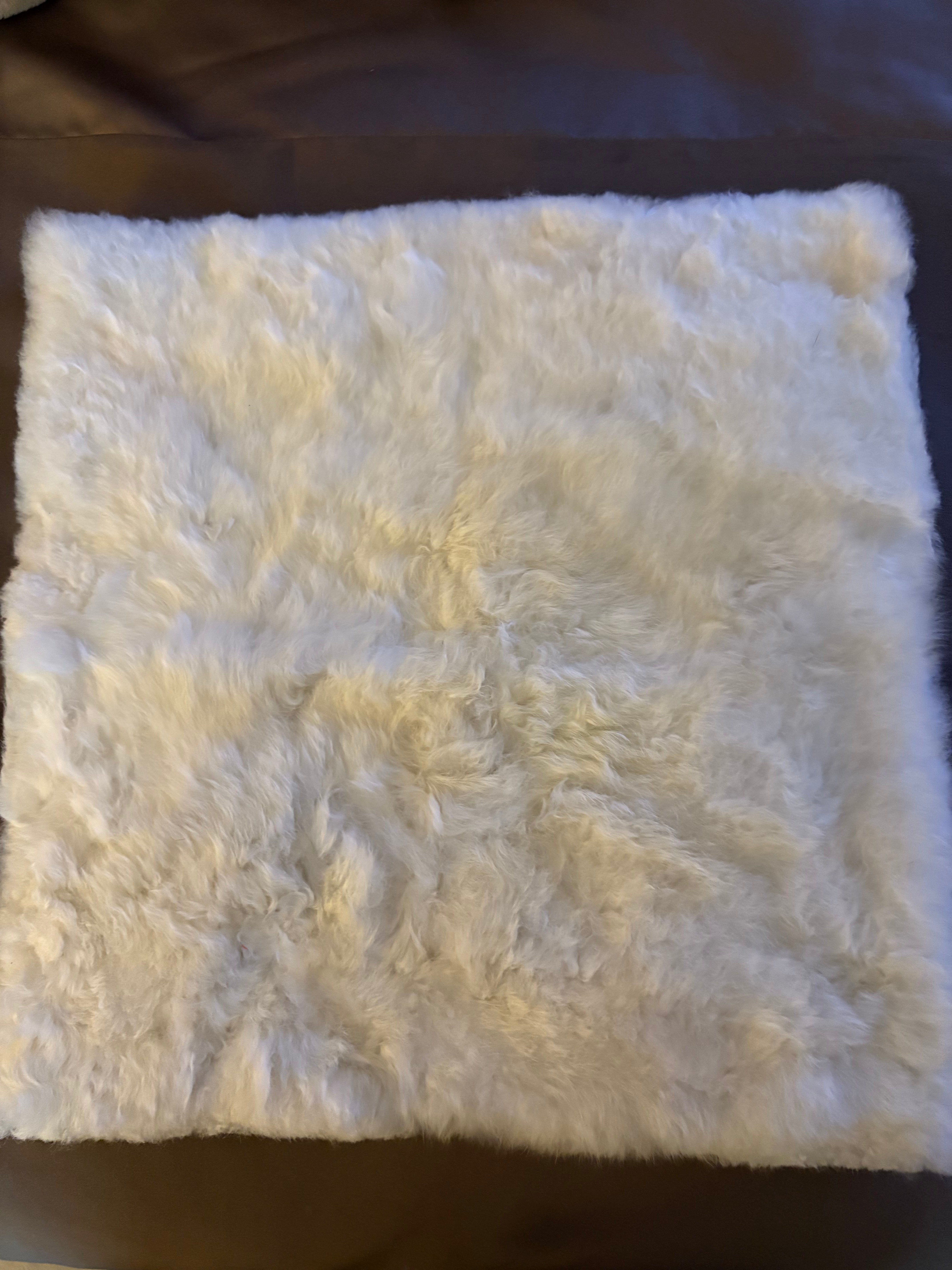 Alpaca Bliss Cushion 16X16